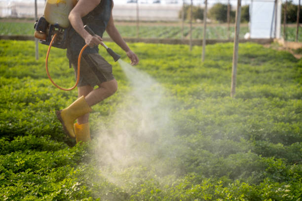 Pest Prevention Services in Russellton, PA