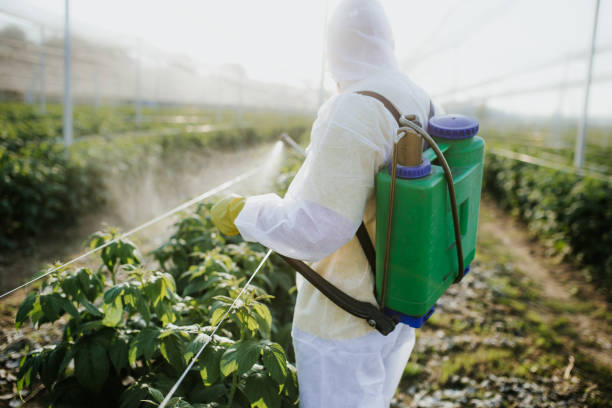 Best Termite Control Services  in Russellton, PA